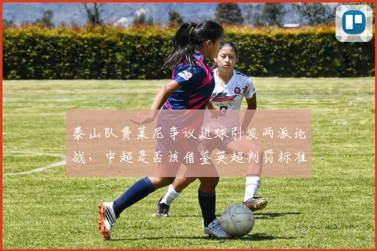泰山队费莱尼争议进球引发两派论战，中超是否该借鉴英超判罚标准？